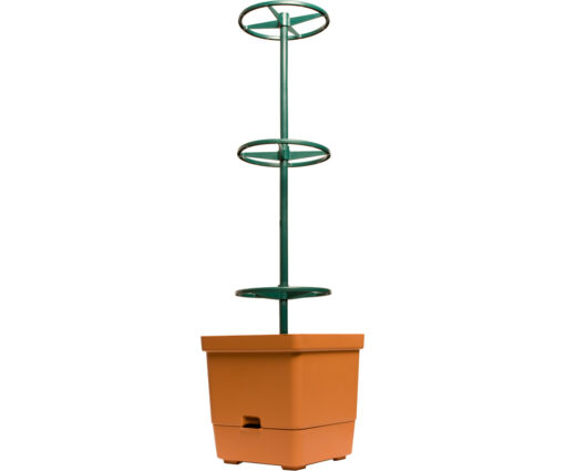 Tomato Tree w/3' Tower