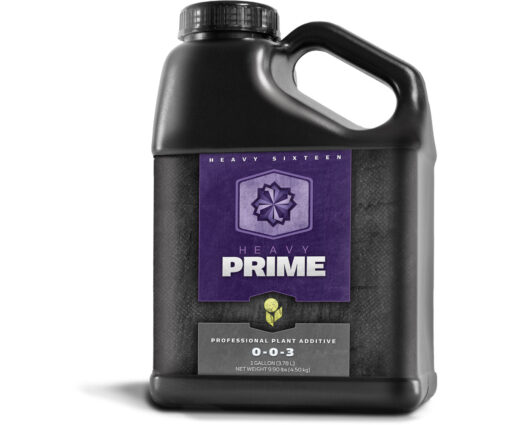 HEAVY 16 Prime, 1 gal