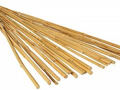 GROW!T 4' Bamboo Stakes, Natural, pack of 25