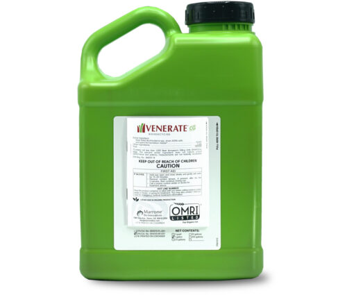 Marrone Bio Venerate CG® Bioinsecticide, 1 gal