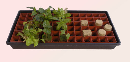 Grodan Gro-Smart Tray, 78-Cell, Terracotta - Image 2