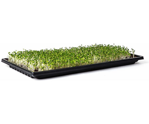 SunBlaster Double-Thick Microgreen Tray w/Holes, 10” x 20” x 1.25" Deep - Image 2