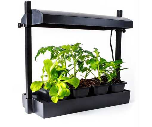 SunBlaster Micro LED Grow Light Garden, Black - Image 2