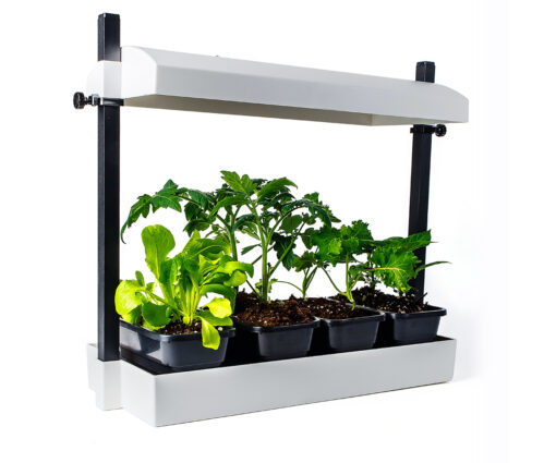 SunBlaster Micro LED Grow Light Garden, White - Image 2